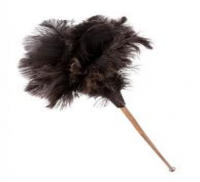 feather-dusters8